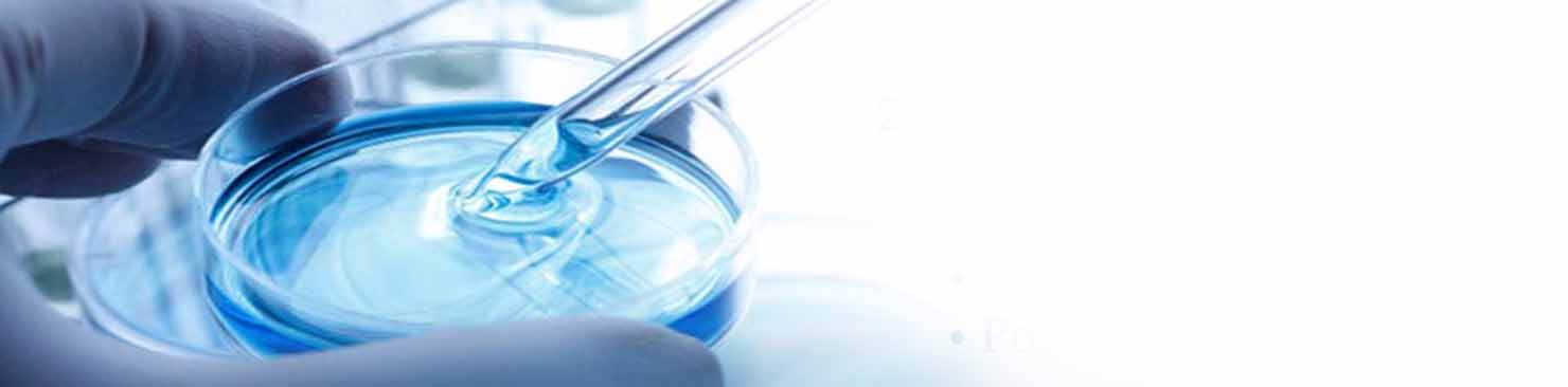 STD-Testing-24-7labs-temple-terrace