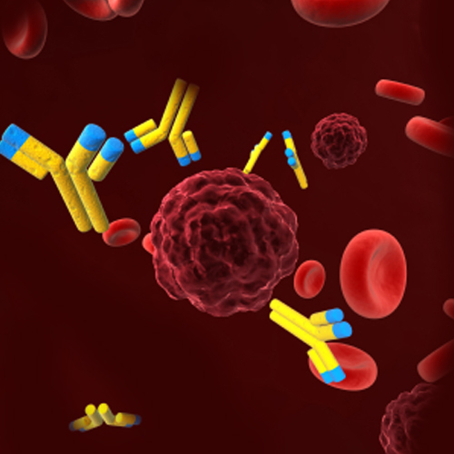 Tampa Fibrinogen Test 24/7 Labs