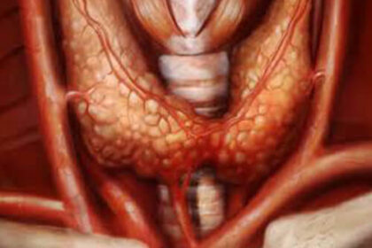 27.Thyroid-stimulating-Hormone