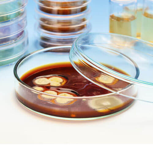 Tampa Stool Culture Test - 24/7 Labs