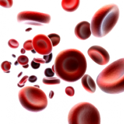 Complete Blood Count Chart Complete Blood Count Chart